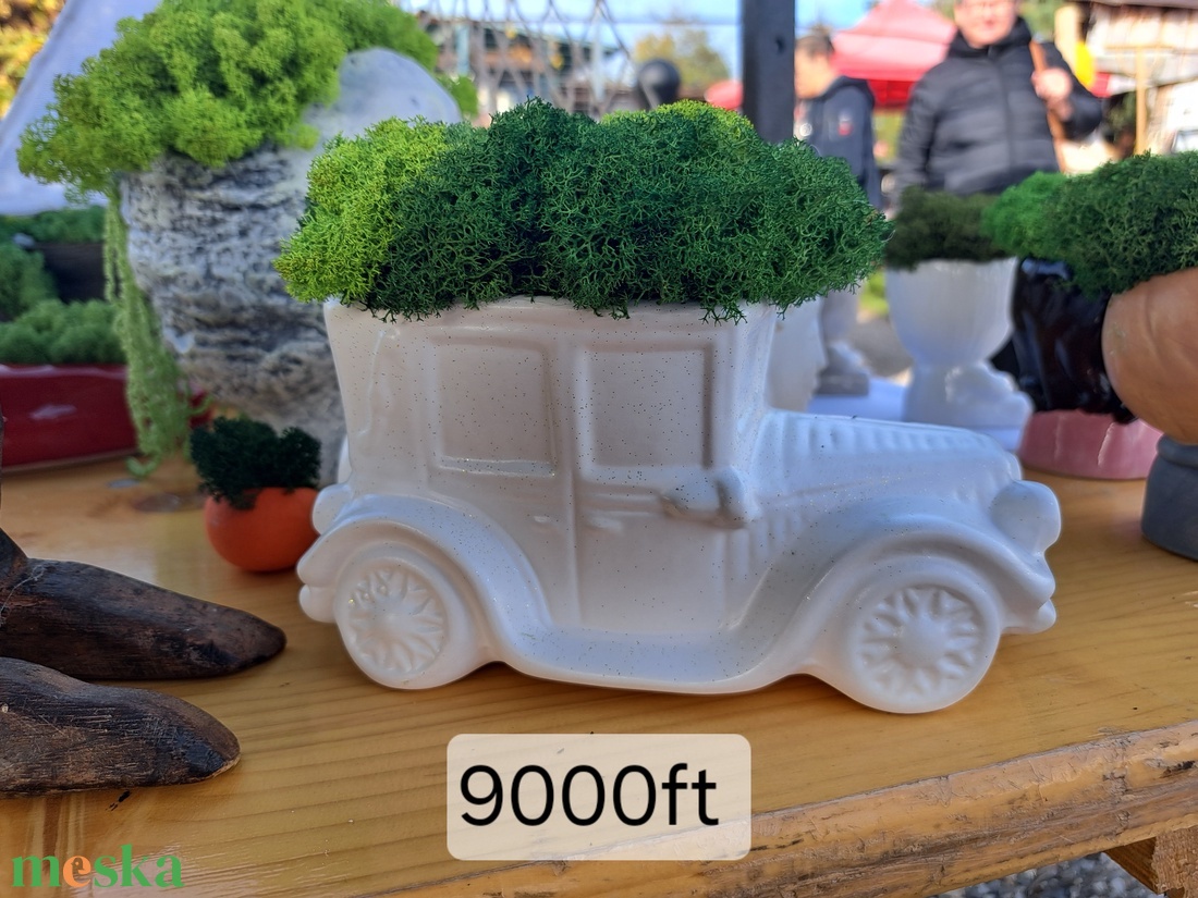 Zúzmó Vonat,Autó - otthon & életmód - dekoráció - asztal és polc dekoráció - zuzmódekoráció, mohadekoráció - Meska.hu