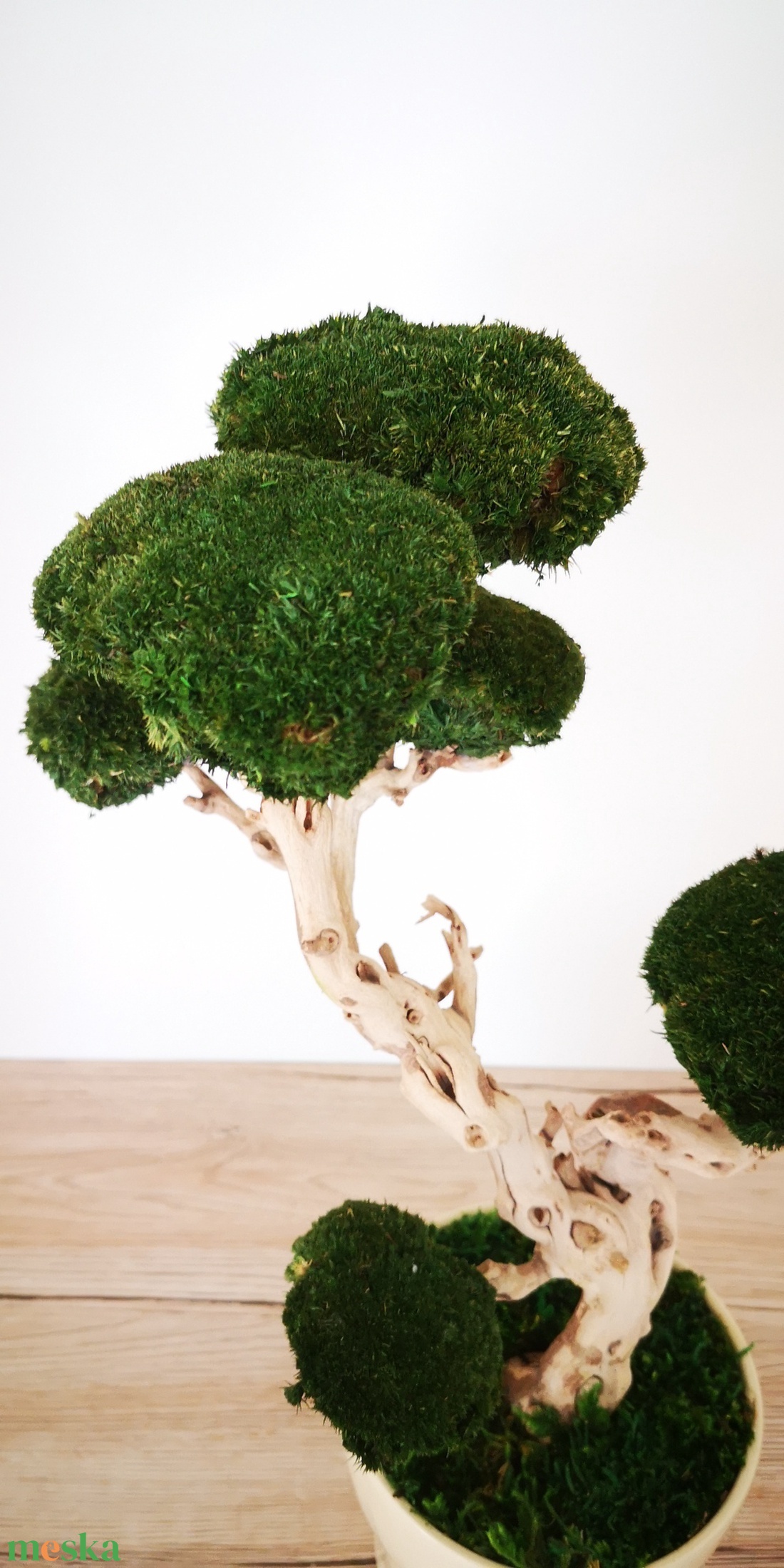 Bonsai gömbmohával - moha bonsai - otthon & életmód - dekoráció - asztal és polc dekoráció - bonsai - Meska.hu Bonsai gömbmohával - moha bonsai - otthon & életmód - dekoráció - asztal és polc dekoráció - bonsai - Meska.hu