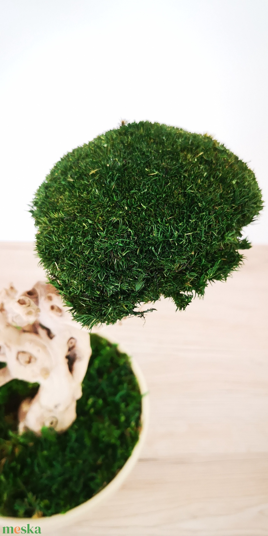 Bonsai gömbmohával - moha bonsai - otthon & életmód - dekoráció - asztal és polc dekoráció - bonsai - Meska.hu Bonsai gömbmohával - moha bonsai - otthon & életmód - dekoráció - asztal és polc dekoráció - bonsai - Meska.hu