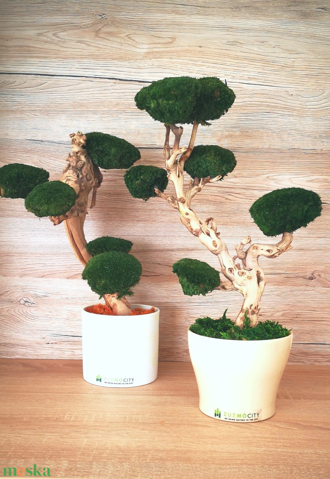 Bonsai gömbmohával - moha bonsai - otthon & életmód - dekoráció - asztal és polc dekoráció - bonsai - Meska.hu Bonsai gömbmohával - moha bonsai - otthon & életmód - dekoráció - asztal és polc dekoráció - bonsai - Meska.hu