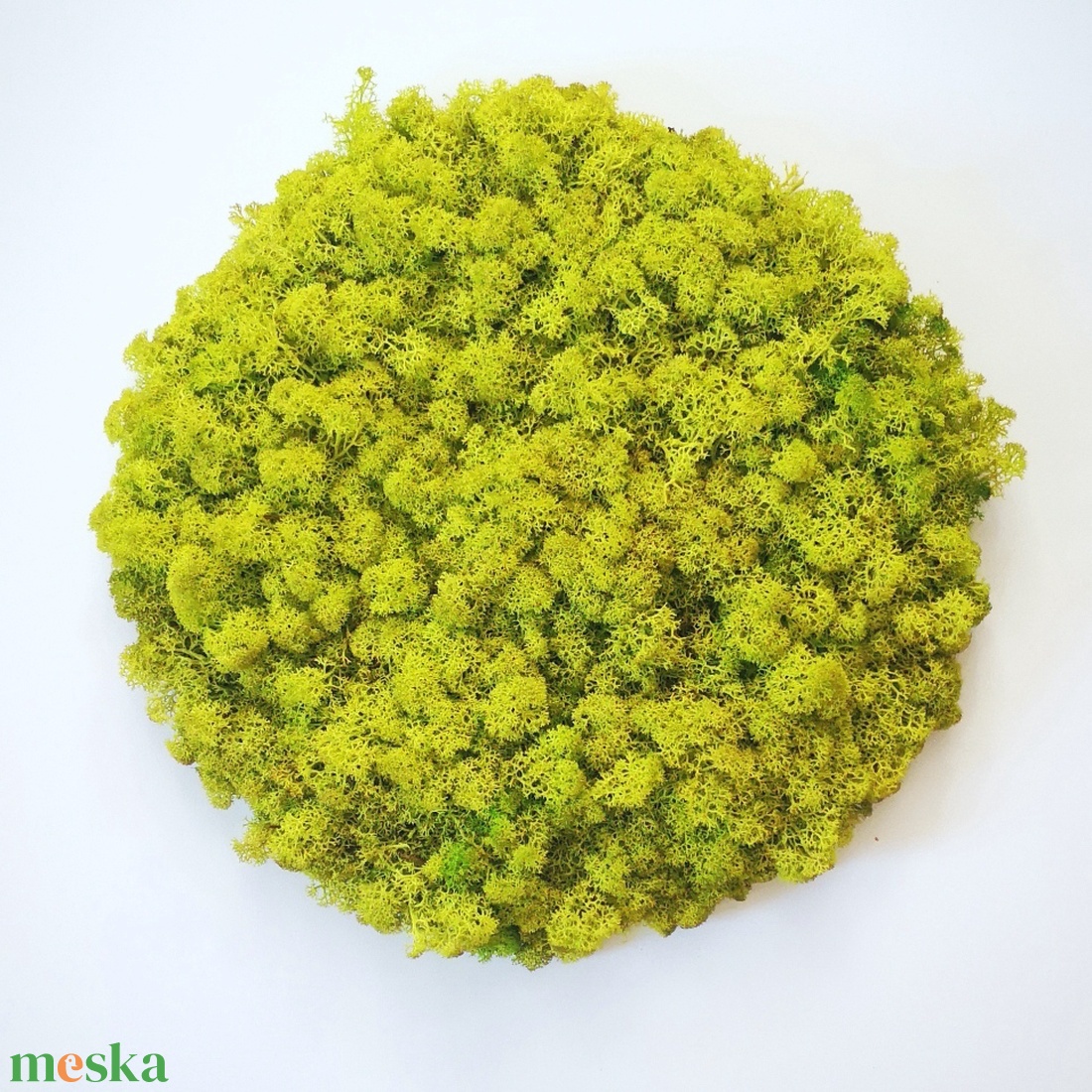 Kör alakú zuzmókép keret nékül - otthon & életmód - dekoráció - fali és függő dekoráció - zuzmókép, mohakép - Meska.hu