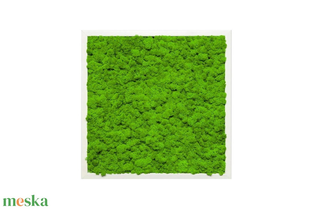27x27 cm zuzmókép - otthon & életmód - dekoráció - fali és függő dekoráció - zuzmókép, mohakép - Meska.hu 27x27 cm zuzmókép - otthon & életmód - dekoráció - fali és függő dekoráció - zuzmókép, mohakép - Meska.hu