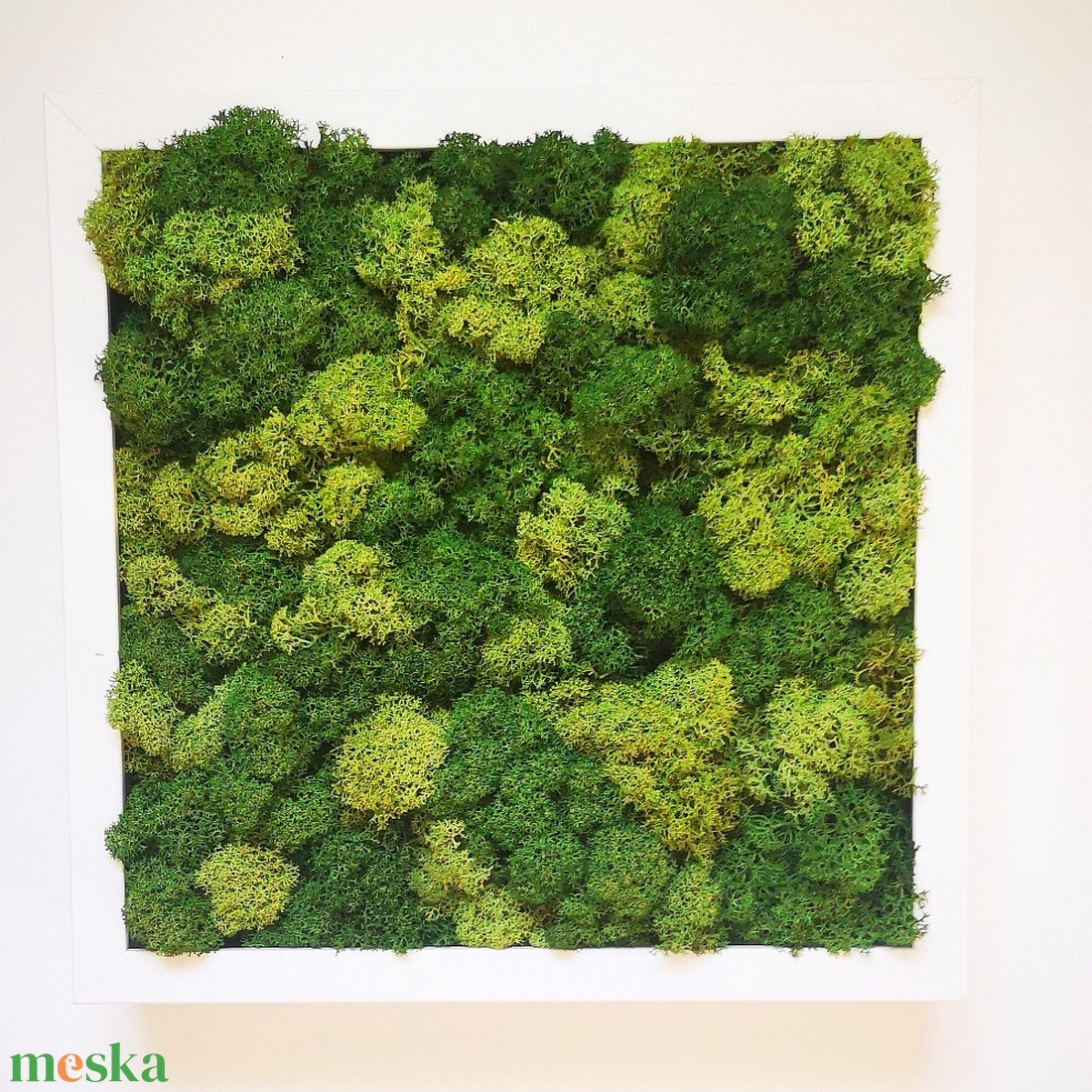 27x27 cm zuzmókép - otthon & életmód - dekoráció - fali és függő dekoráció - zuzmókép, mohakép - Meska.hu 27x27 cm zuzmókép - otthon & életmód - dekoráció - fali és függő dekoráció - zuzmókép, mohakép - Meska.hu