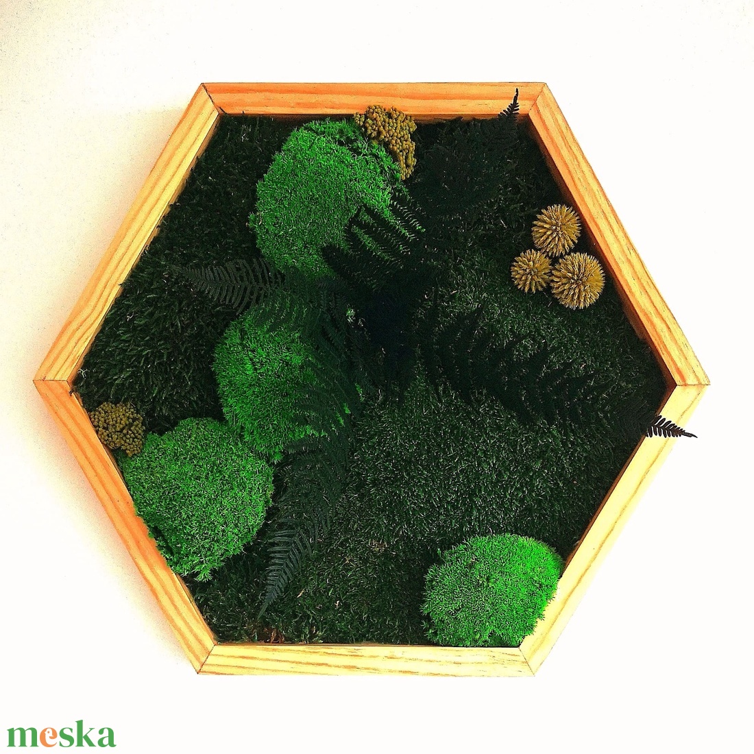 Hexagon mohakép páfránnyal - otthon & életmód - dekoráció - fali és függő dekoráció - zuzmókép, mohakép - Meska.hu Hexagon mohakép páfránnyal - otthon & életmód - dekoráció - fali és függő dekoráció - zuzmókép, mohakép - Meska.hu