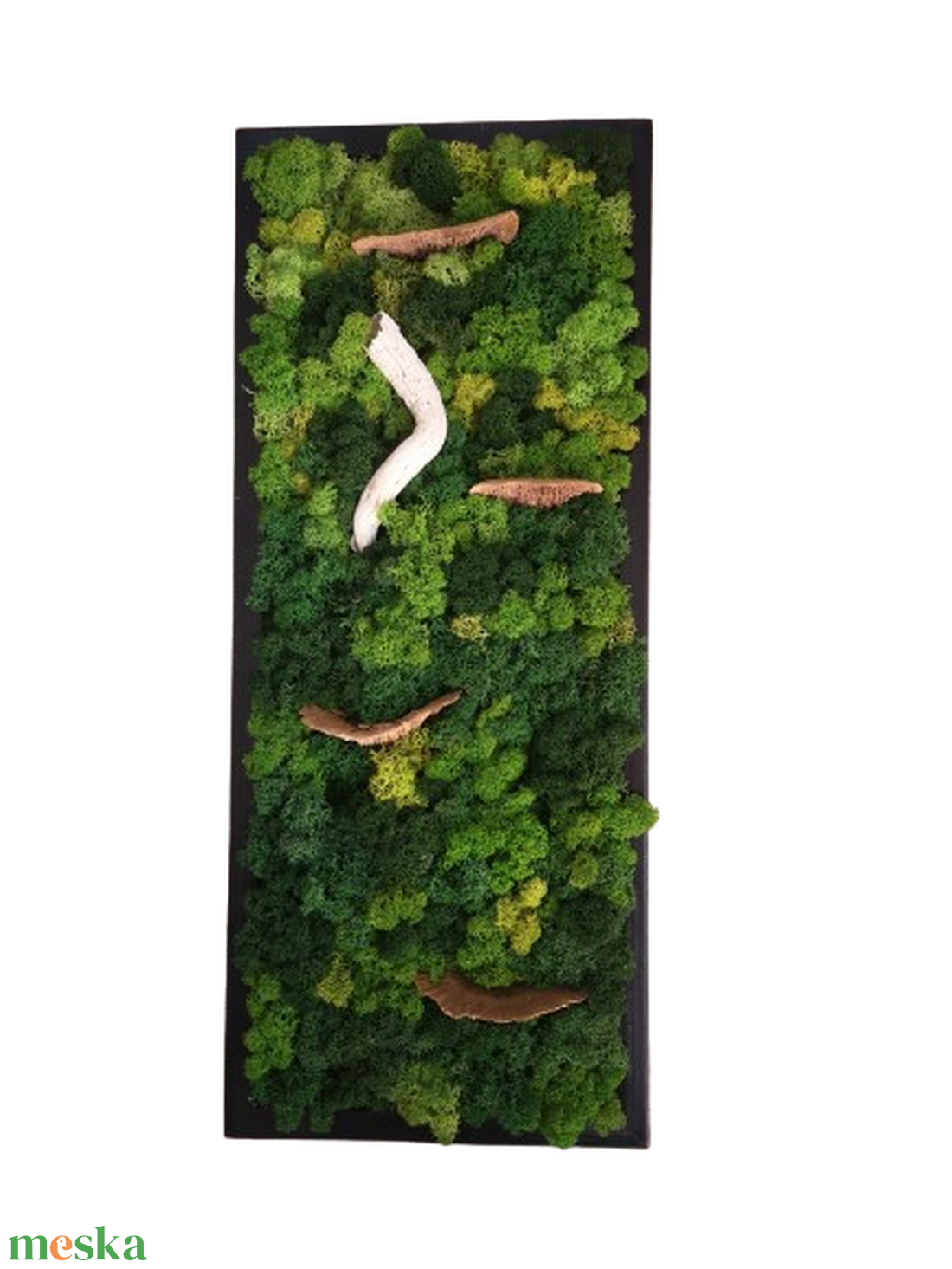 Zuzmókép gombával 25x60 cm FOREST 2. - otthon & életmód - dekoráció - fali és függő dekoráció - zuzmókép, mohakép - Meska.hu Zuzmókép gombával 25x60 cm FOREST 2. - otthon & életmód - dekoráció - fali és függő dekoráció - zuzmókép, mohakép - Meska.hu
