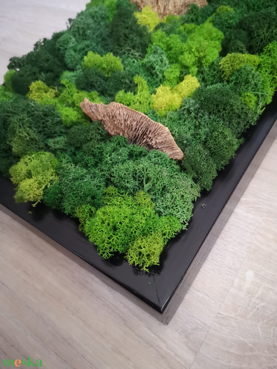 Zuzmókép gombával 25x60 cm FOREST 2. - otthon & életmód - dekoráció - fali és függő dekoráció - zuzmókép, mohakép - Meska.hu Zuzmókép gombával 25x60 cm FOREST 2. - otthon & életmód - dekoráció - fali és függő dekoráció - zuzmókép, mohakép - Meska.hu