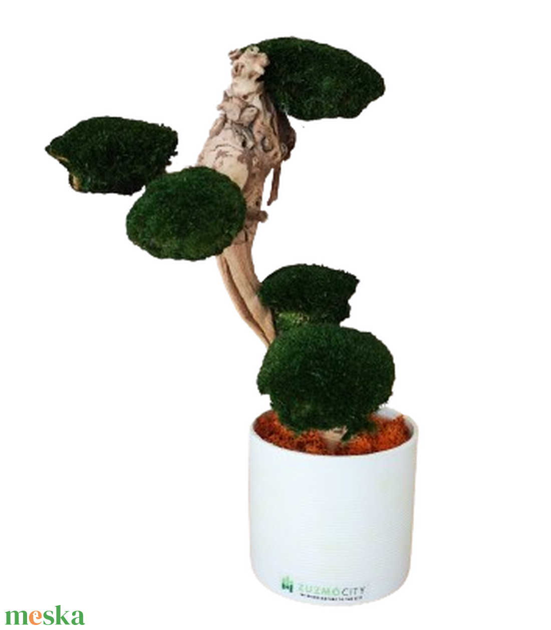 Bonsai gömbmohával - moha bonsai - otthon & életmód - dekoráció - asztal és polc dekoráció - bonsai - Meska.hu Bonsai gömbmohával - moha bonsai - otthon & életmód - dekoráció - asztal és polc dekoráció - bonsai - Meska.hu
