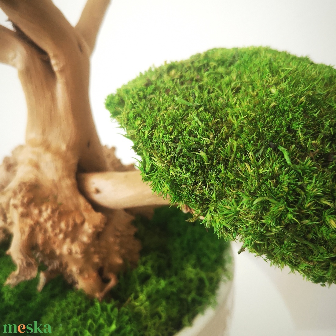 Bonsai tartósított gömbmohával ezüst kaspóban - moha bonsai 14 - otthon & életmód - dekoráció - asztal és polc dekoráció - asztaldísz - Meska.hu Bonsai tartósított gömbmohával ezüst kaspóban - moha bonsai 14 - otthon & életmód - dekoráció - asztal és polc dekoráció - asztaldísz - Meska.hu