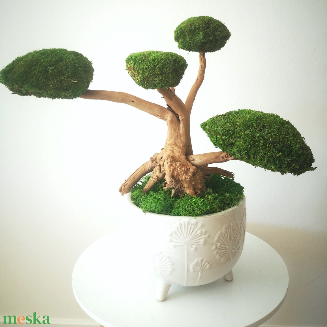 Bonsai tartósított gömbmohával 13 - moha bonsai - otthon & életmód - dekoráció - asztal és polc dekoráció - bonsai - Meska.hu Bonsai tartósított gömbmohával 13 - moha bonsai - otthon & életmód - dekoráció - asztal és polc dekoráció - bonsai - Meska.hu