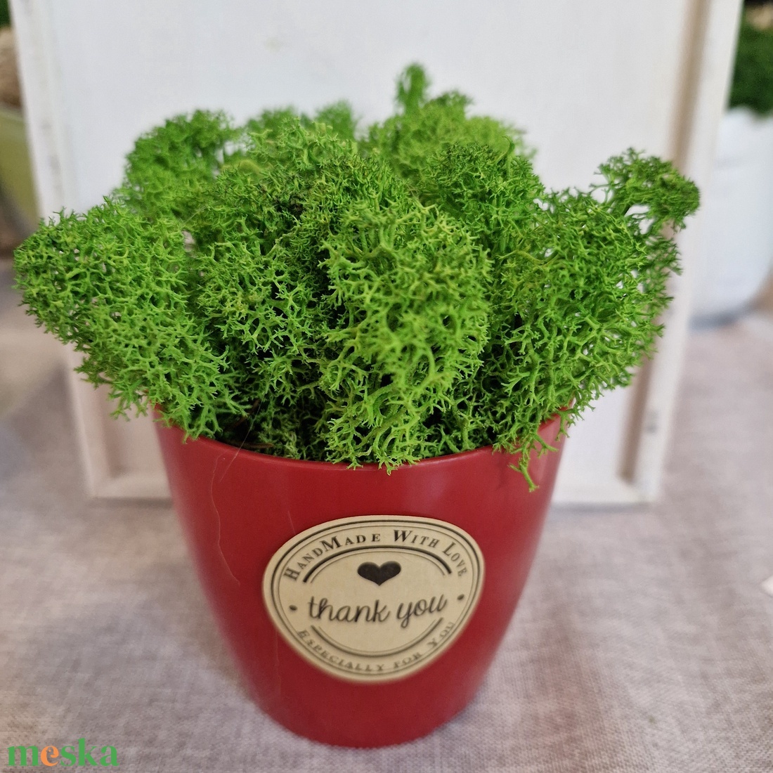Mini Izlandi zuzmódísz piros kaspóban - otthon & életmód - dekoráció - asztal és polc dekoráció - zuzmódekoráció, mohadekoráció - Meska.hu Mini Izlandi zuzmódísz piros kaspóban - otthon & életmód - dekoráció - asztal és polc dekoráció - zuzmódekoráció, mohadekoráció - Meska.hu
