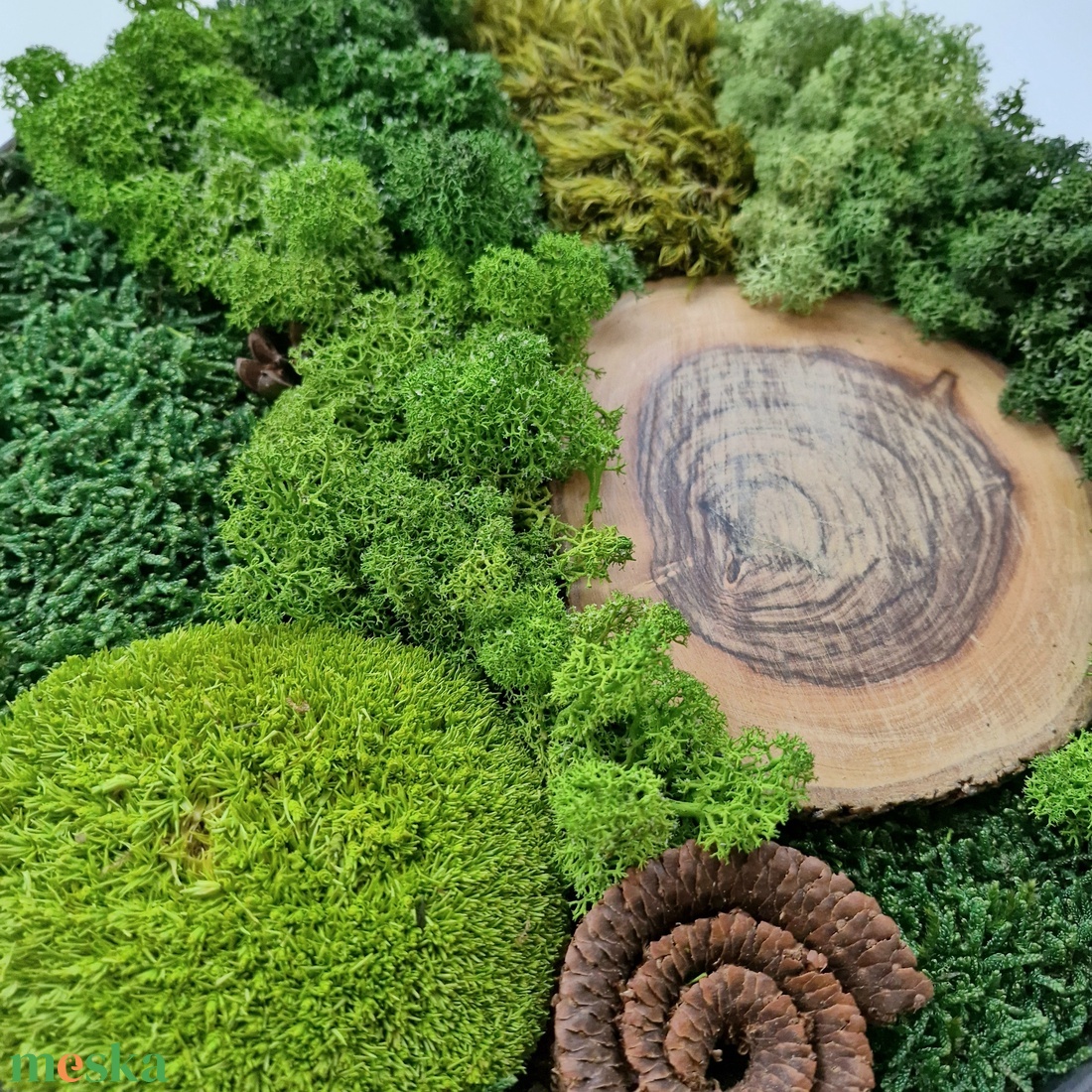 Mohakép/zuzmókép - FOREST 3 kör alakú - otthon & életmód - dekoráció - fali és függő dekoráció - zuzmókép, mohakép - Meska.hu