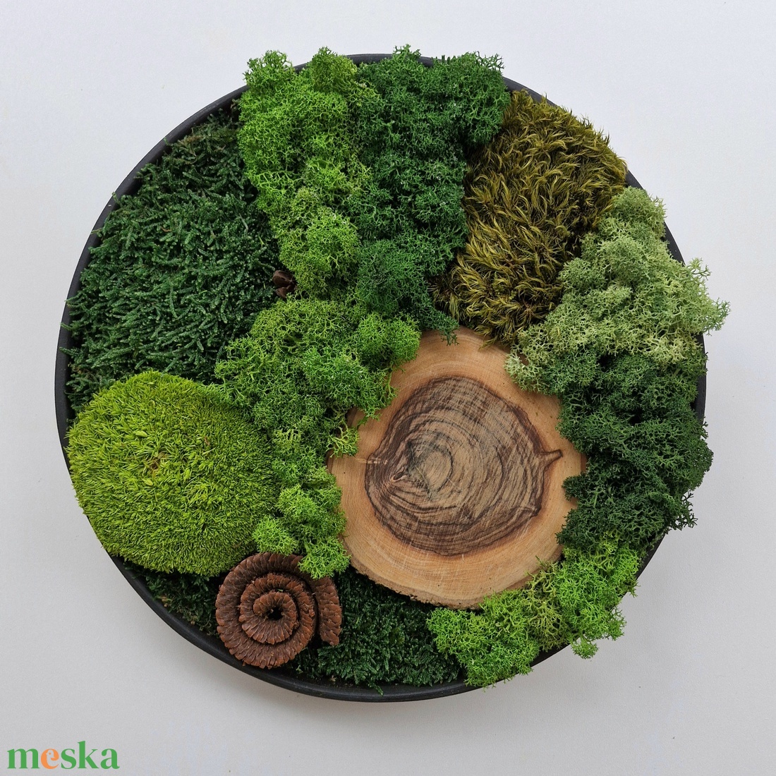 Mohakép/zuzmókép - FOREST 3 kör alakú - otthon & életmód - dekoráció - fali és függő dekoráció - zuzmókép, mohakép - Meska.hu