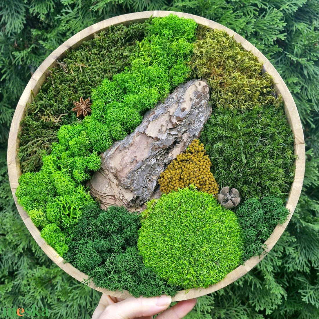 KÖR alakú keretes zuzmókép termésekkel FOREST 1 - otthon & életmód - dekoráció - fali és függő dekoráció - zuzmókép, mohakép - Meska.hu