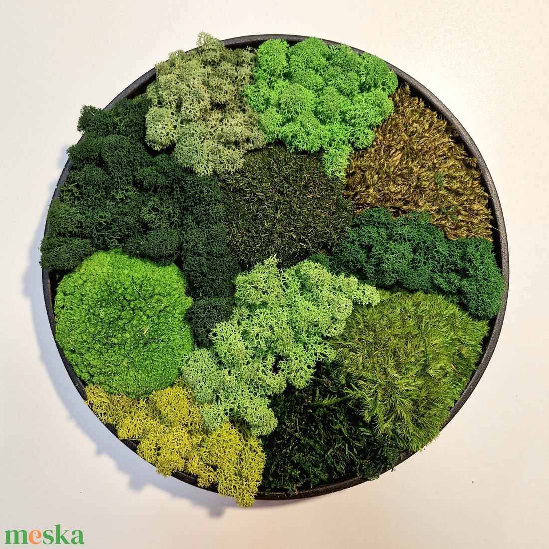 Mohakép/zuzmókép - FOREST 4 kör alakú - otthon & életmód - dekoráció - fali és függő dekoráció - zuzmókép, mohakép - Meska.hu