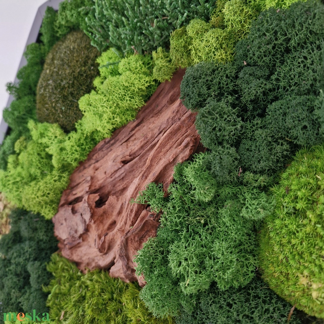 Hexagon mohakép egzotikus fával 45 cm - otthon & életmód - dekoráció - fali és függő dekoráció - zuzmókép, mohakép - Meska.hu