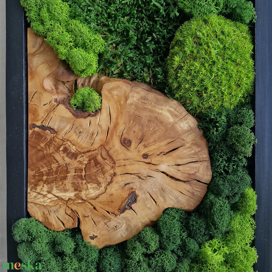 PÁROS mohakép olajfa szelettel 25 x 60 cm - 2 db - otthon & életmód - dekoráció - fali és függő dekoráció - zuzmókép, mohakép - Meska.hu
