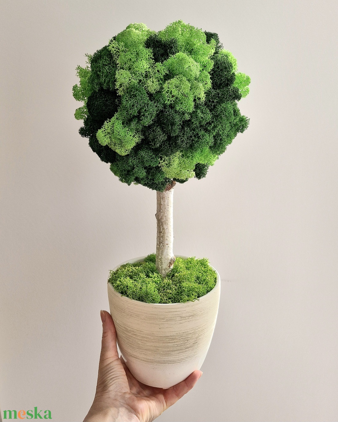 Zuzmófa 42 cm - gondozásmentes  - otthon & életmód - dekoráció - asztal és polc dekoráció - zuzmódekoráció, mohadekoráció - Meska.hu