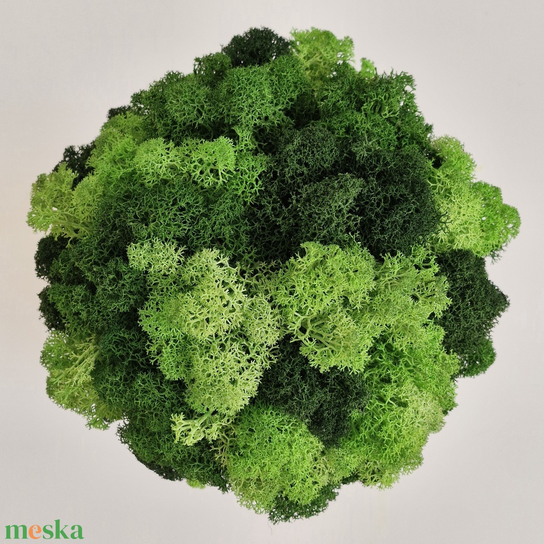 Zuzmófa 42 cm - gondozásmentes  - otthon & életmód - dekoráció - asztal és polc dekoráció - zuzmódekoráció, mohadekoráció - Meska.hu