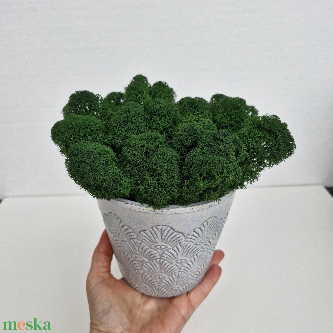 Elegáns kaspó izlandi zuzmóval - otthon & életmód - dekoráció - asztal és polc dekoráció - zuzmódekoráció, mohadekoráció - Meska.hu