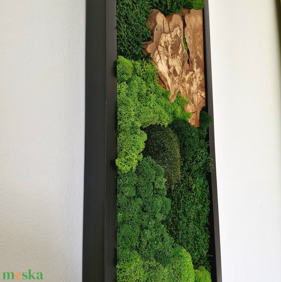 Mohakép olajfa szelettel 25 x 60 cm  - otthon & életmód - dekoráció - fali és függő dekoráció - zuzmókép, mohakép - Meska.hu