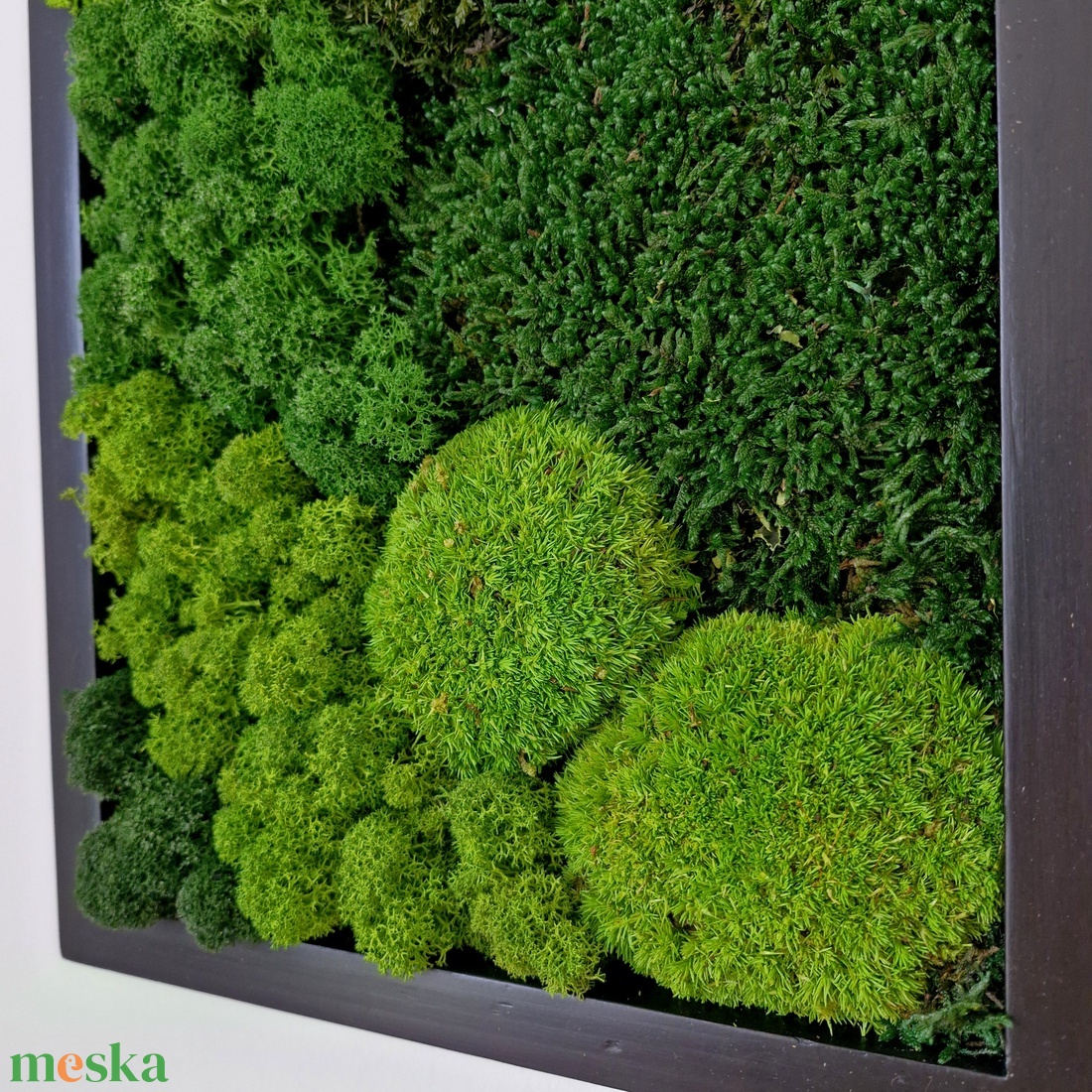 Mohakép olajfa szelettel 25 x 60 cm  - otthon & életmód - dekoráció - fali és függő dekoráció - zuzmókép, mohakép - Meska.hu