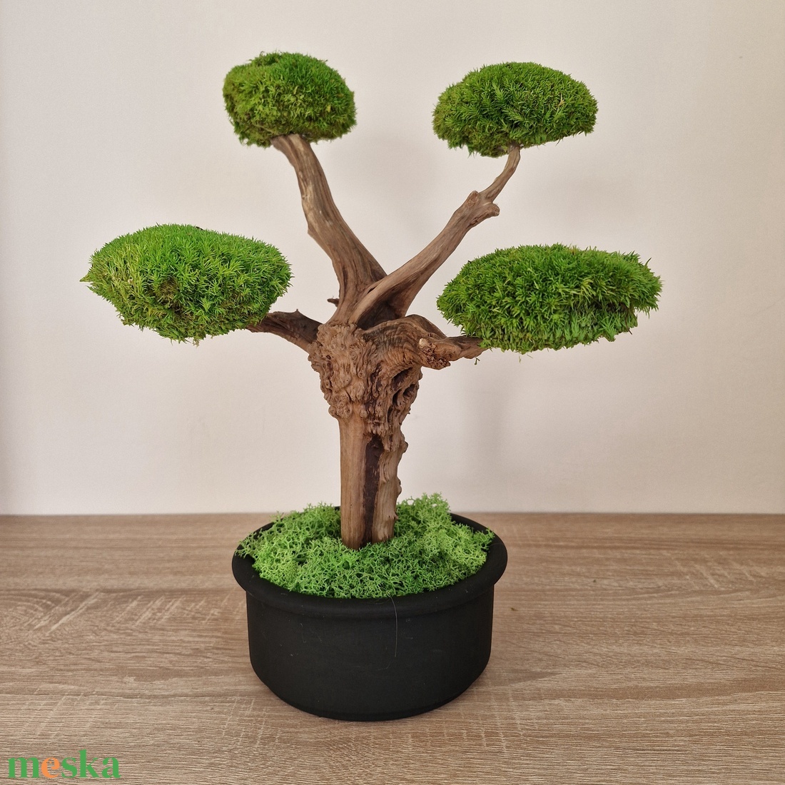 Bonsai gömbmohával - moha bonsai - otthon & életmód - dekoráció - asztal és polc dekoráció - bonsai - Meska.hu