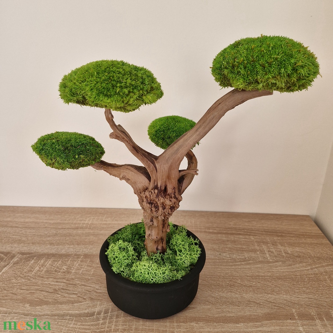 Bonsai gömbmohával - moha bonsai - otthon & életmód - dekoráció - asztal és polc dekoráció - bonsai - Meska.hu