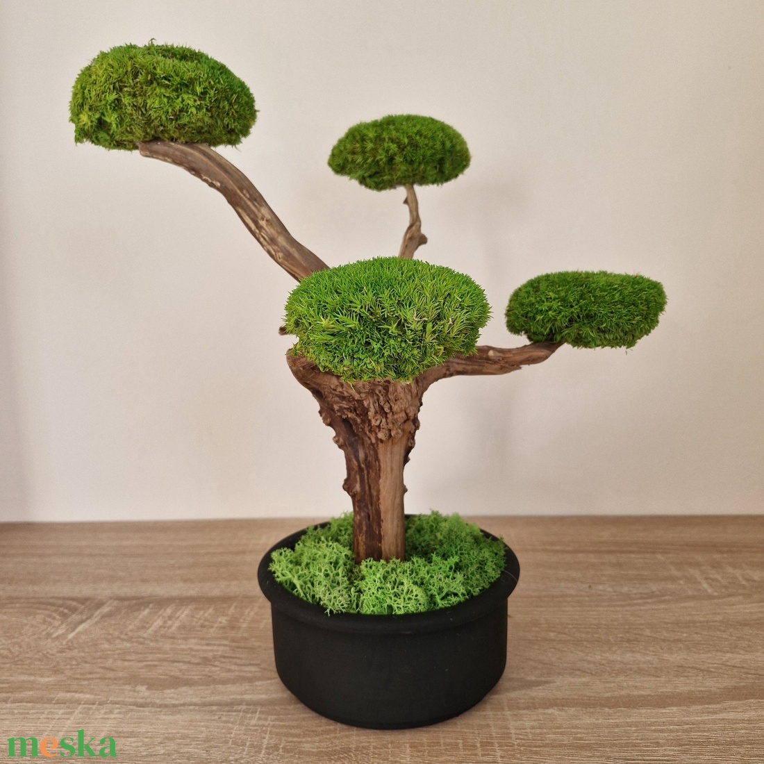 Bonsai gömbmohával - moha bonsai - otthon & életmód - dekoráció - asztal és polc dekoráció - bonsai - Meska.hu