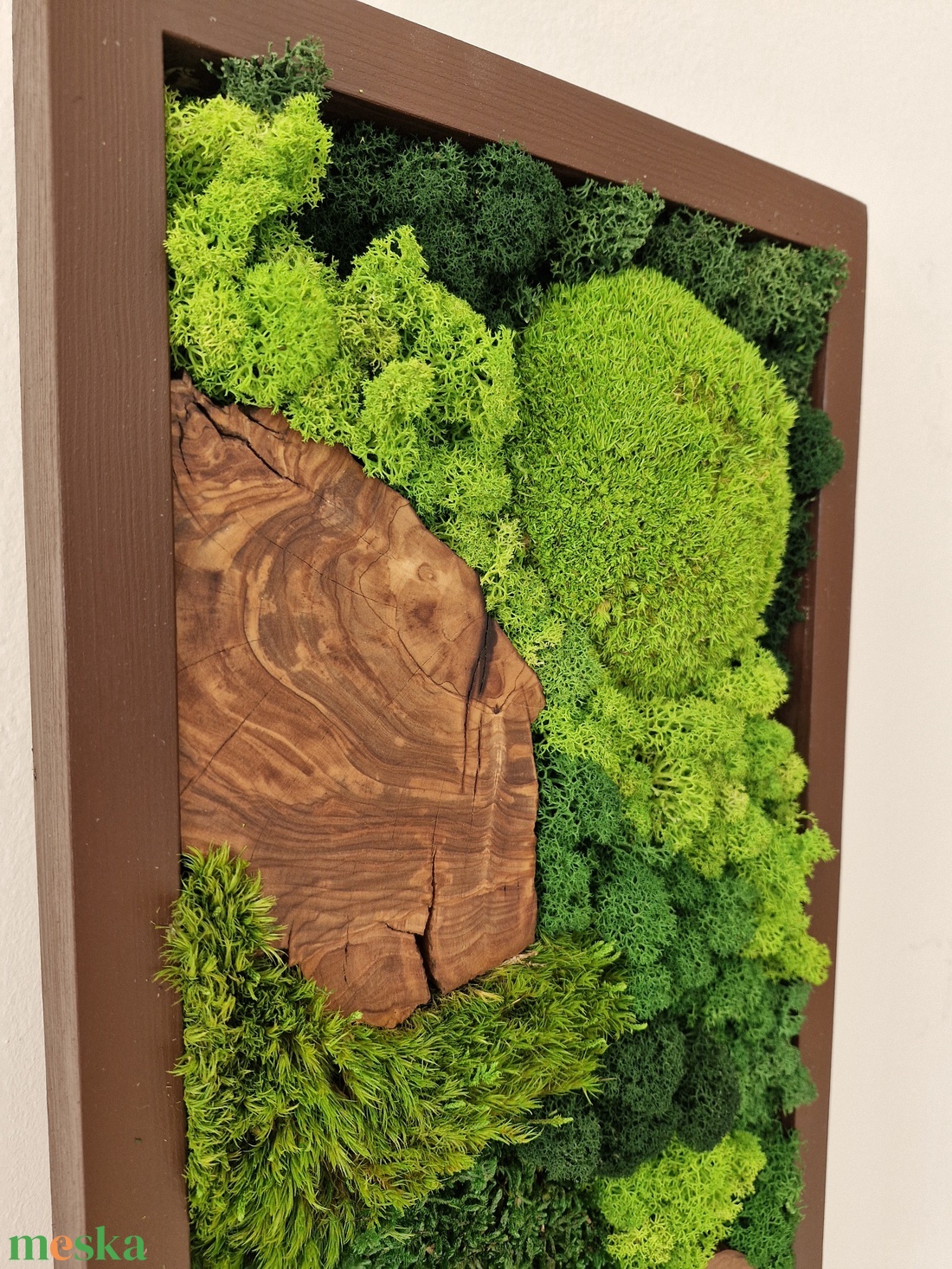 Mohakép olajfa szeletekkel 25 x 60 cm  - otthon & életmód - dekoráció - fali és függő dekoráció - zuzmókép, mohakép - Meska.hu