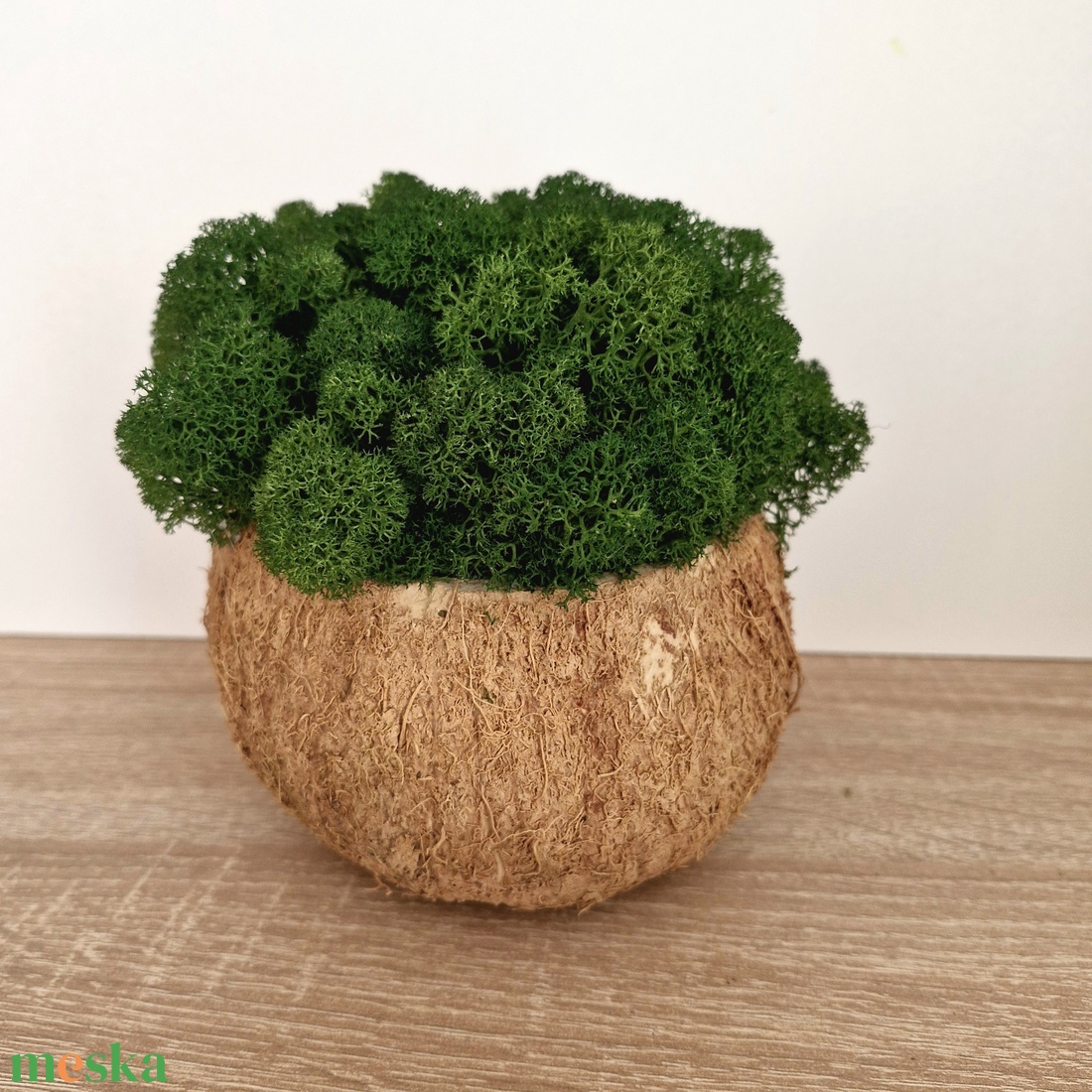 Izlandi zuzmó kókuszhéjban - otthon & életmód - dekoráció - asztal és polc dekoráció - asztaldísz - Meska.hu