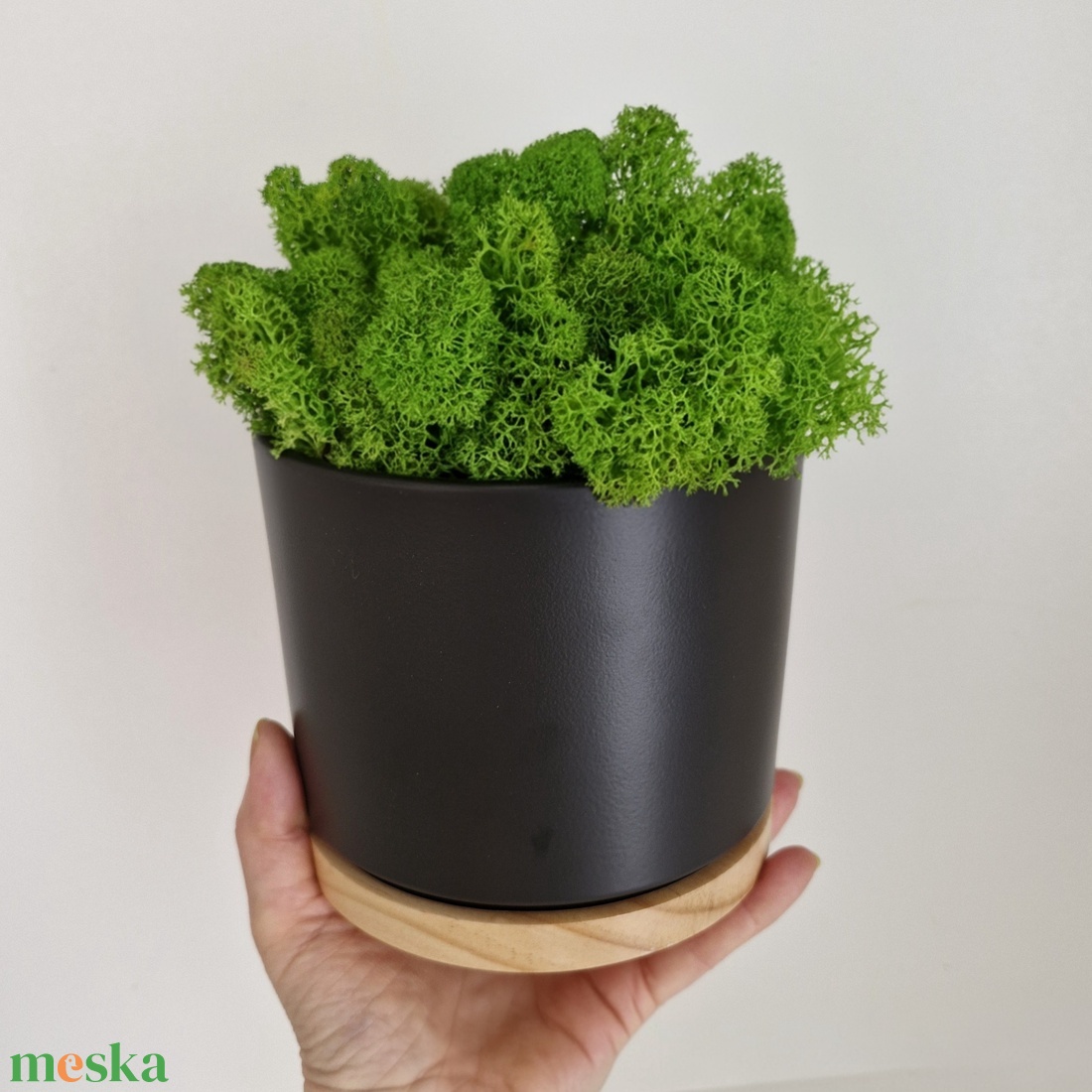 Elegáns antracit-bambusz kaspó izlandi zuzmóval - otthon & életmód - dekoráció - asztal és polc dekoráció - zuzmódekoráció, mohadekoráció - Meska.hu