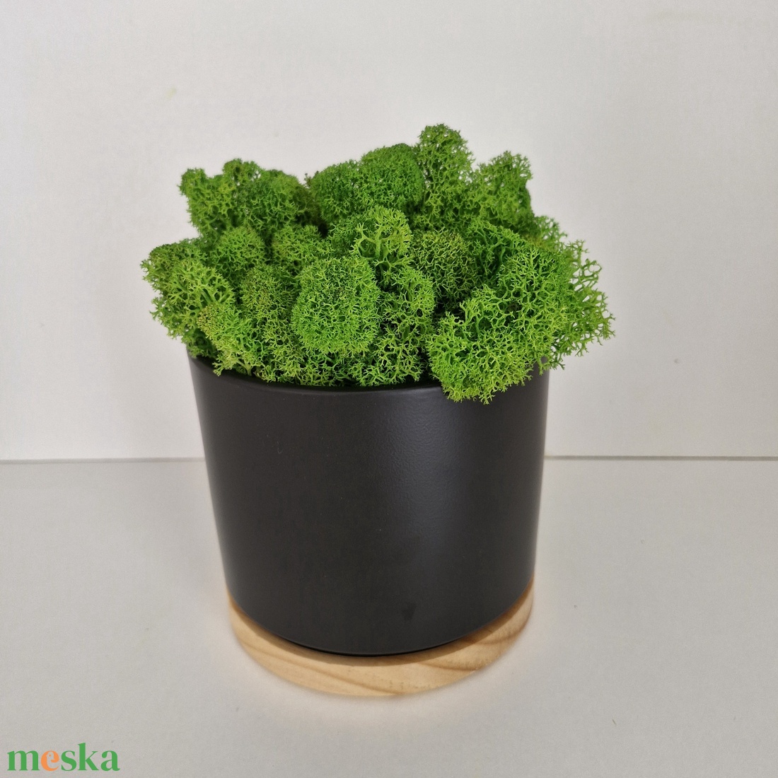 Elegáns antracit-bambusz kaspó izlandi zuzmóval - otthon & életmód - dekoráció - asztal és polc dekoráció - zuzmódekoráció, mohadekoráció - Meska.hu