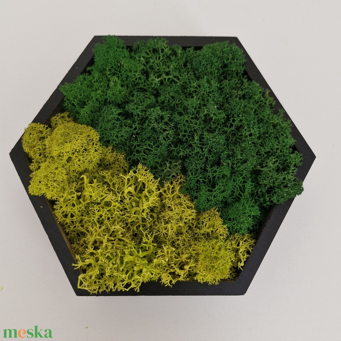 Kis hexagon zuzmókép - otthon & életmód - dekoráció - fali és függő dekoráció - zuzmókép, mohakép - Meska.hu