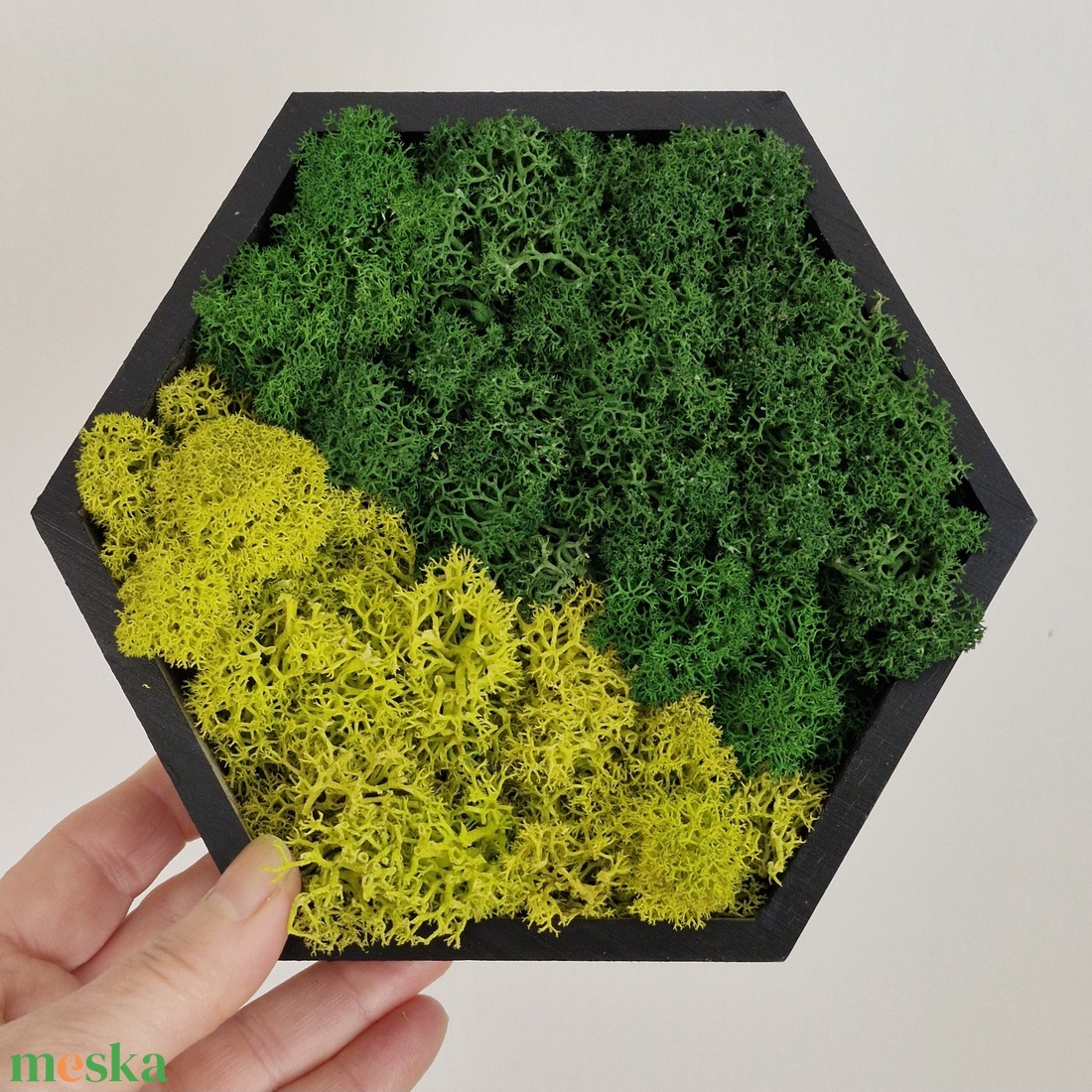 Kis hexagon zuzmókép - otthon & életmód - dekoráció - fali és függő dekoráció - zuzmókép, mohakép - Meska.hu