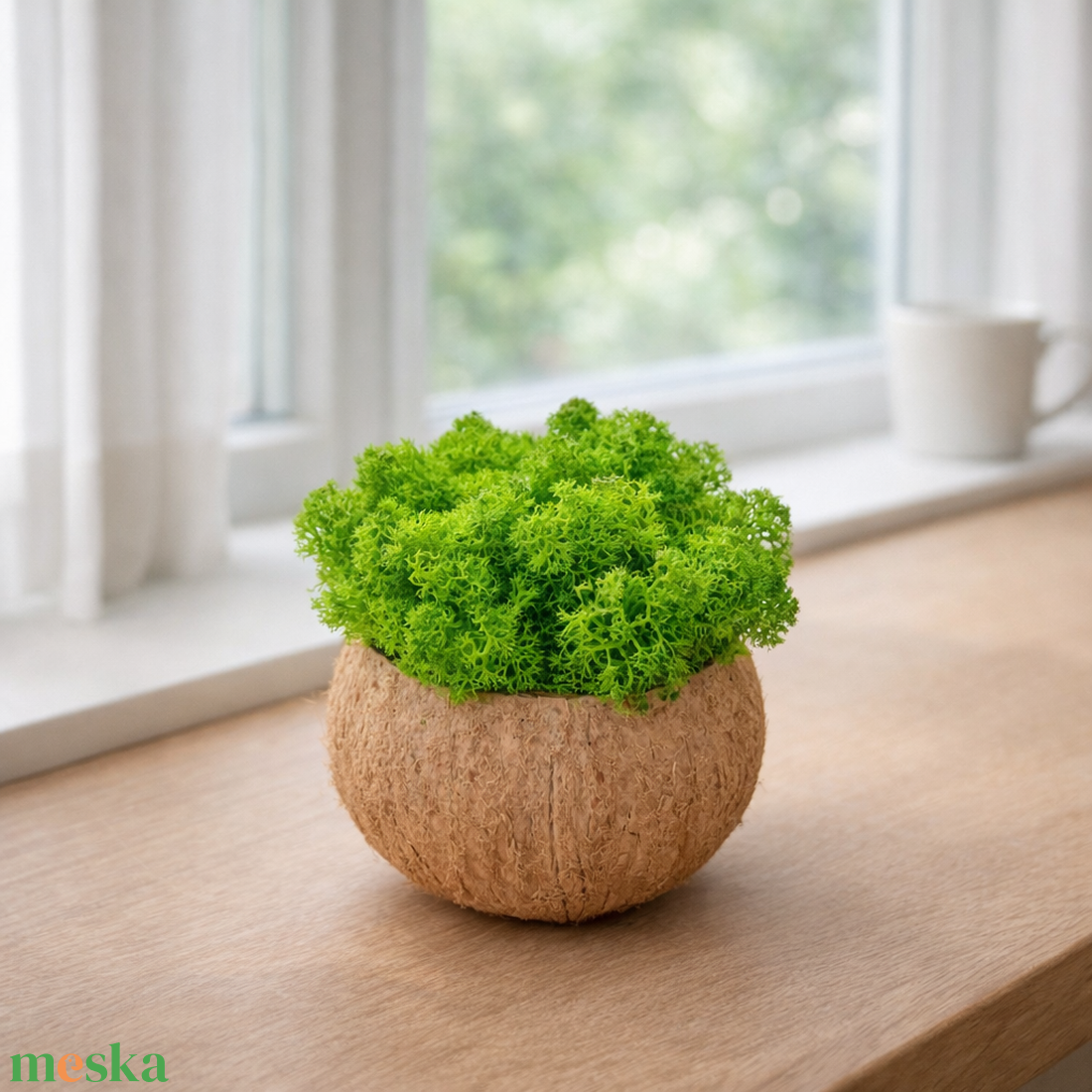 Izlandi zuzmó kókuszhéjban - otthon & életmód - dekoráció - asztal és polc dekoráció - asztaldísz - Meska.hu