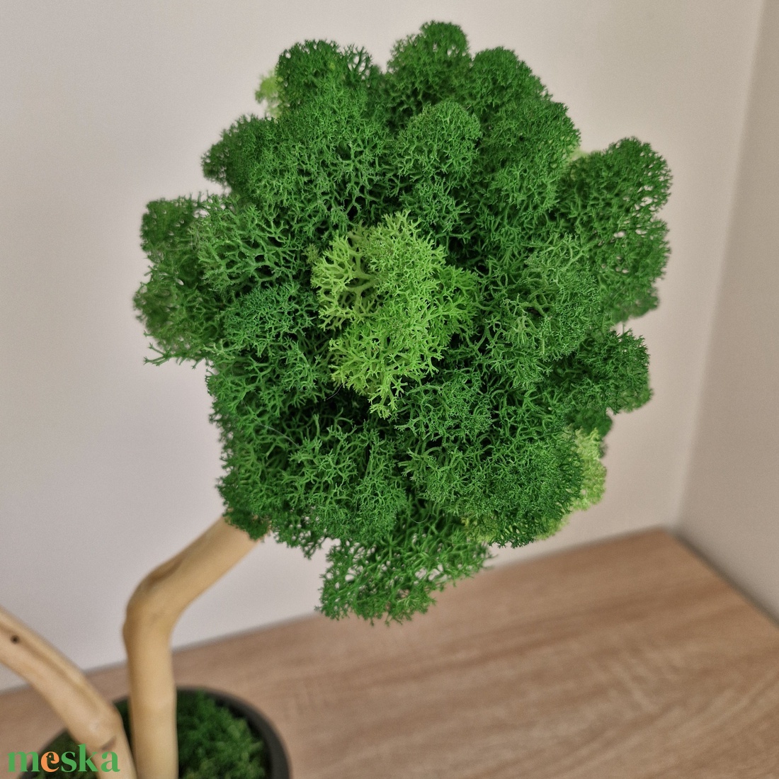 Zuzmófa 38 cm - gondozásmentes  - otthon & életmód - dekoráció - asztal és polc dekoráció - zuzmódekoráció, mohadekoráció - Meska.hu