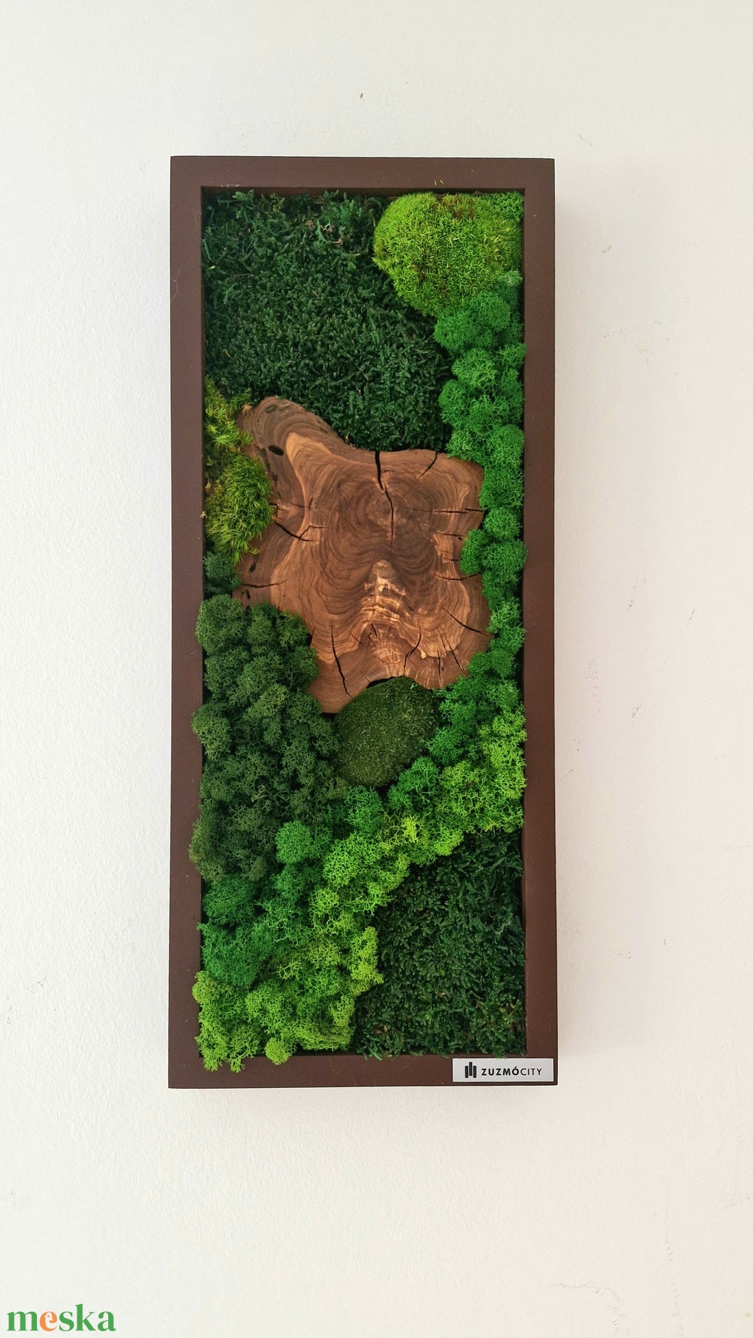 Mohakép olajfa szeletekkel 25 x 60 cm  - otthon & életmód - dekoráció - fali és függő dekoráció - zuzmókép, mohakép - Meska.hu