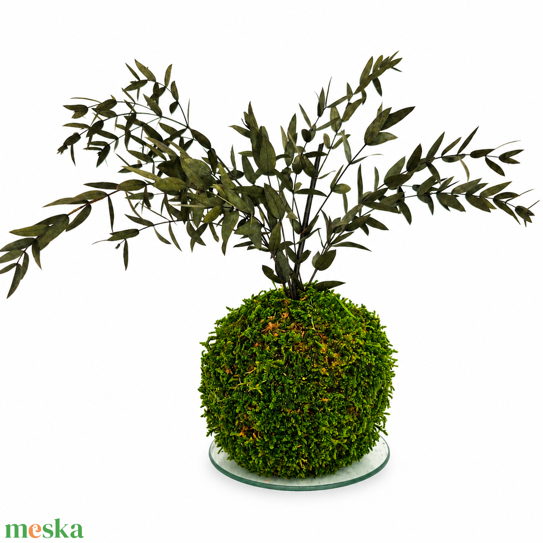 Stabilizált kokedama � gondozásmentes mohagömb Ruscussal - otthon & életmód - dekoráció - asztal és polc dekoráció - bonsai - Meska.hu