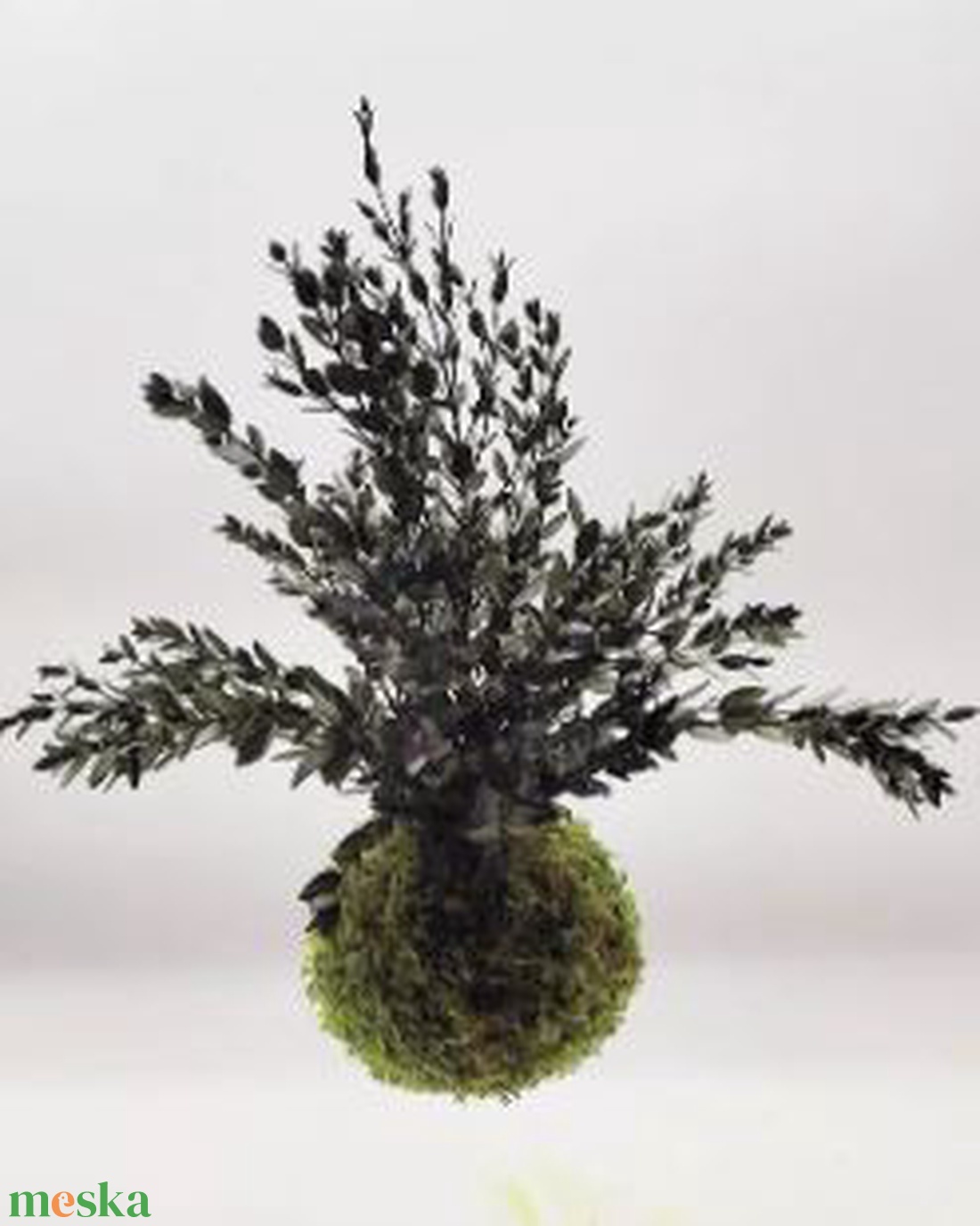 Stabilizált kokedama � gondozásmentes mohagömb Ruscussal - otthon & életmód - dekoráció - asztal és polc dekoráció - bonsai - Meska.hu