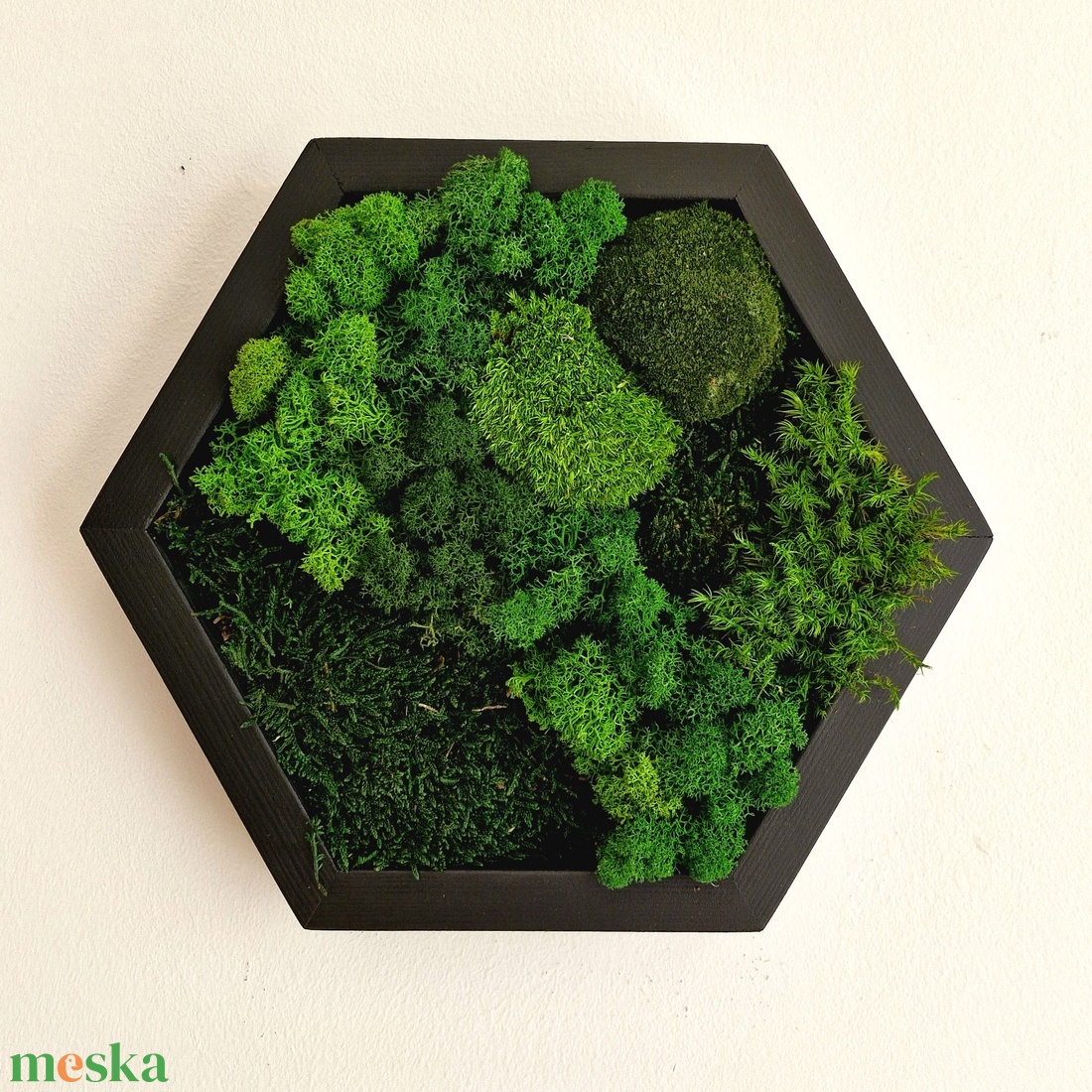 Hexagon mohakép többféle stabilizált mohával és zuzmóval - otthon & életmód - dekoráció - fali és függő dekoráció - zuzmókép, mohakép - Meska.hu