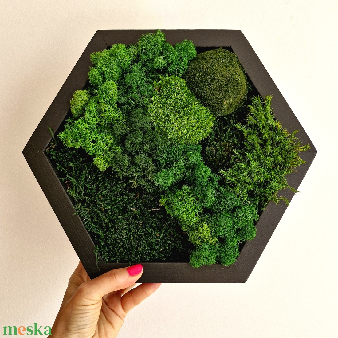 Hexagon mohakép többféle stabilizált mohával és zuzmóval - otthon & életmód - dekoráció - fali és függő dekoráció - zuzmókép, mohakép - Meska.hu