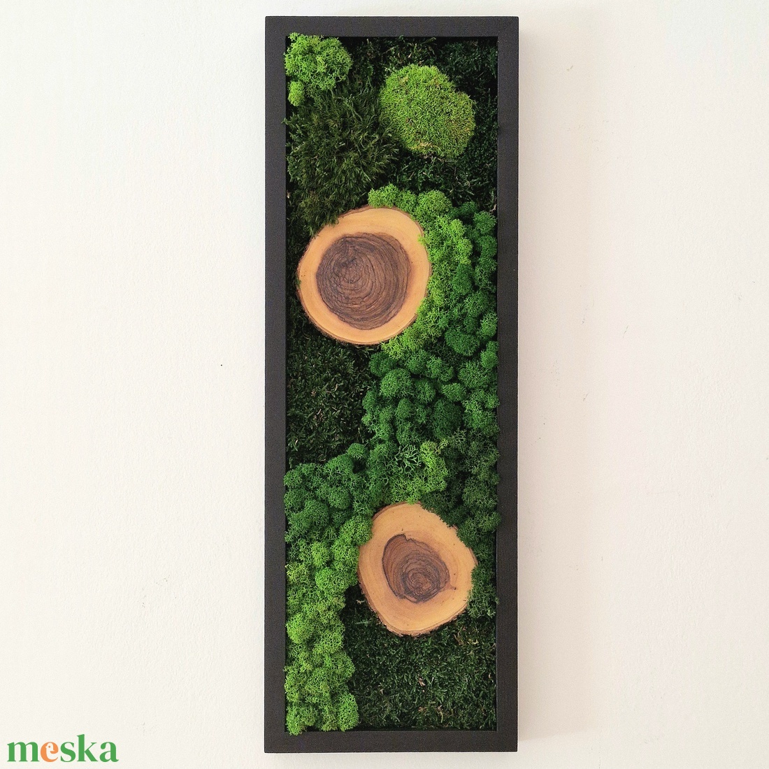 Mohakép olajfa korongokkal 25 x 80 cm  - otthon & életmód - dekoráció - fali és függő dekoráció - zuzmókép, mohakép - Meska.hu