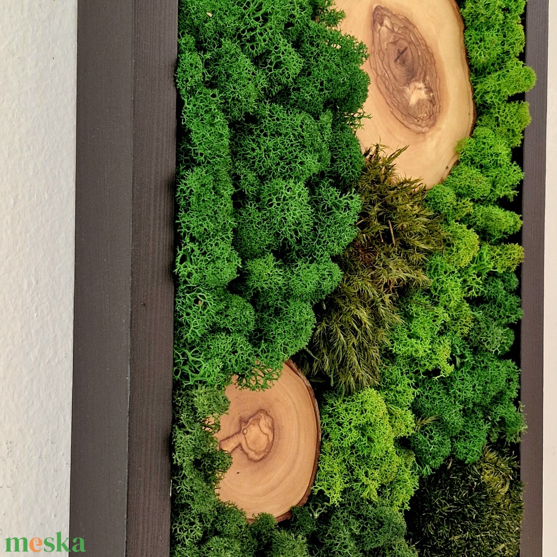 Mohakép olajfa korongokkal 25 x 80 cm  - otthon & életmód - dekoráció - fali és függő dekoráció - zuzmókép, mohakép - Meska.hu