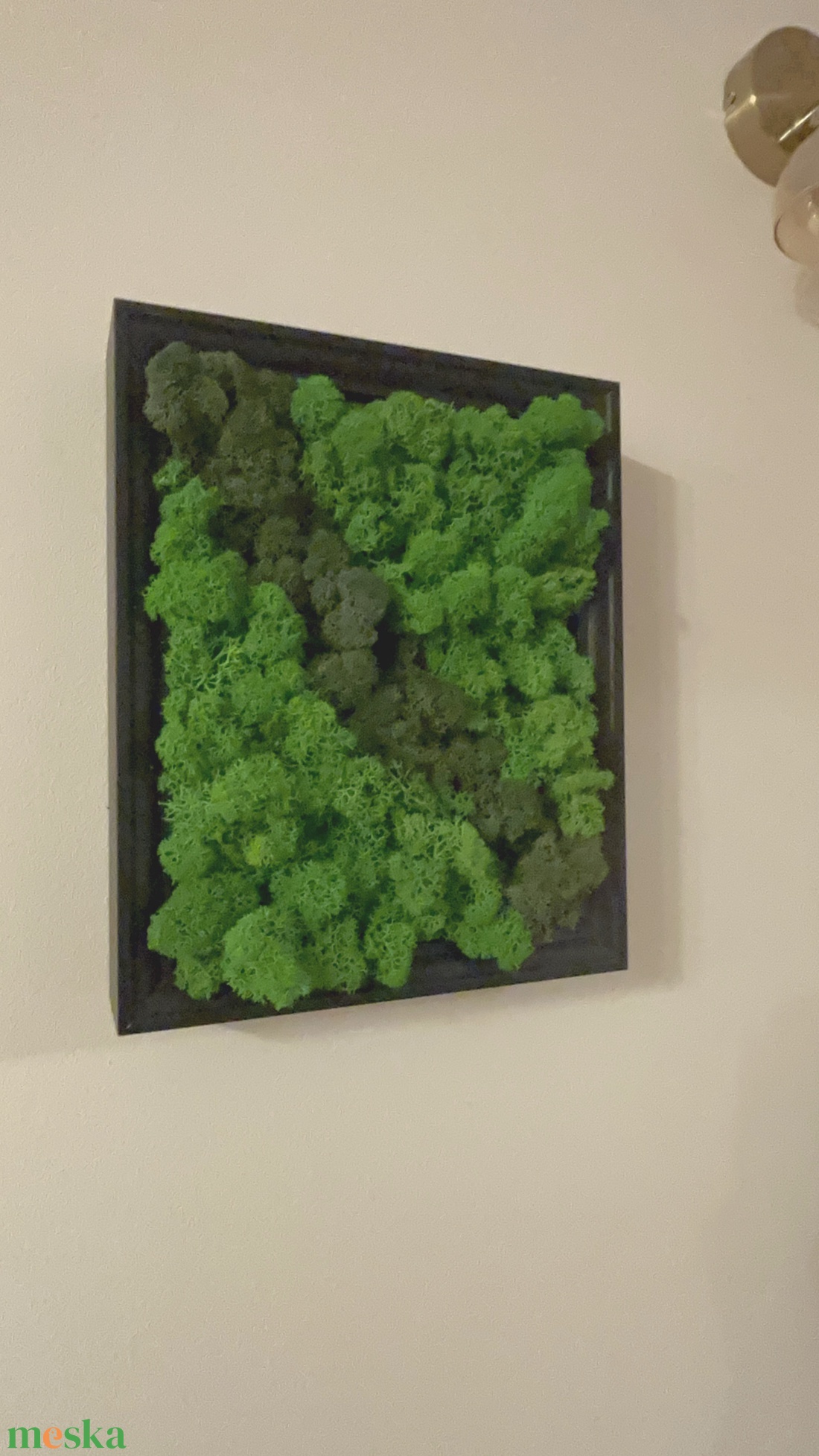 Prémium zuzmó falipanel - otthon & életmód - dekoráció - fali és függő dekoráció - zuzmókép, mohakép - Meska.hu