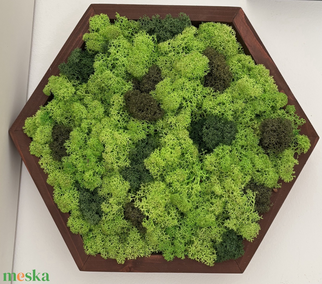 Hexagon zuzmó kép - rózsafa szín kerettel - otthon & életmód - dekoráció - fali és függő dekoráció - zuzmókép, mohakép - Meska.hu