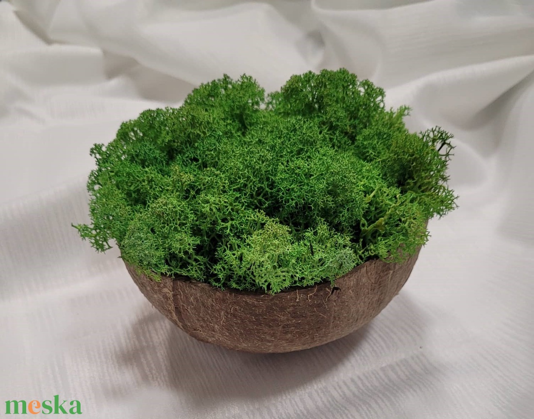 Izlandi zuzmó kókuszdióban - otthon & életmód - dekoráció - asztal és polc dekoráció - asztaldísz - Meska.hu