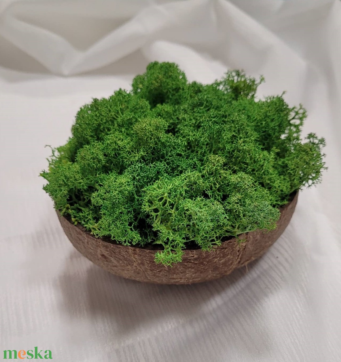 Izlandi zuzmó kókuszdióban - otthon & életmód - dekoráció - asztal és polc dekoráció - asztaldísz - Meska.hu