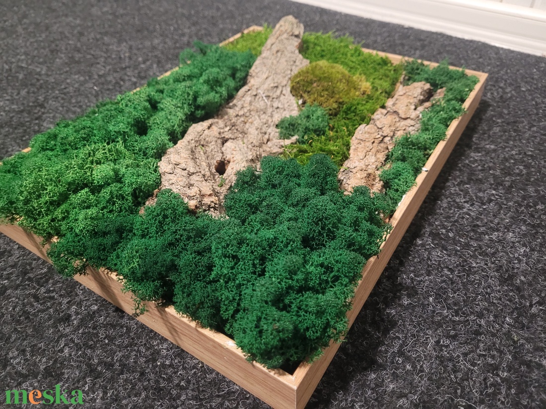 40 x30 cm zuzmó és mohakép - otthon & életmód - dekoráció - fali és függő dekoráció - falra akasztható dekor - Meska.hu 40 x30 cm zuzmó és mohakép - otthon & életmód - dekoráció - fali és függő dekoráció - falra akasztható dekor - Meska.hu