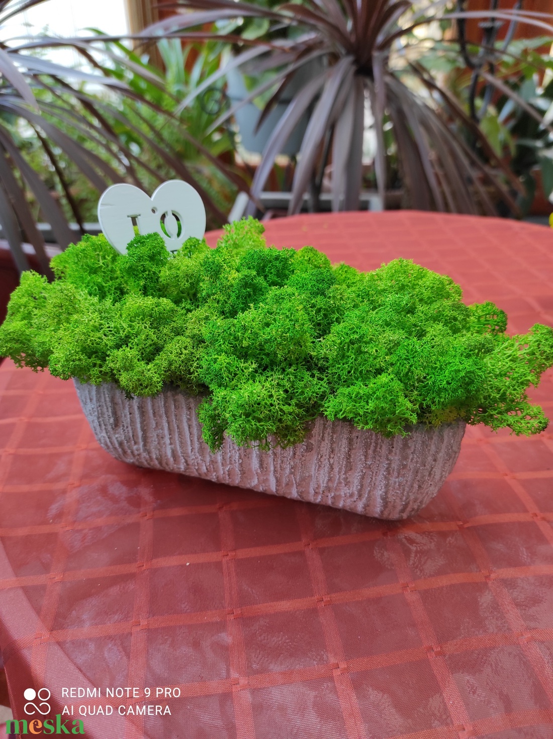 Színes élő izlandi zuzmók beton kaspóban  - otthon & életmód - dekoráció - virágdísz és tartó - csokor & virágdísz - Meska.hu