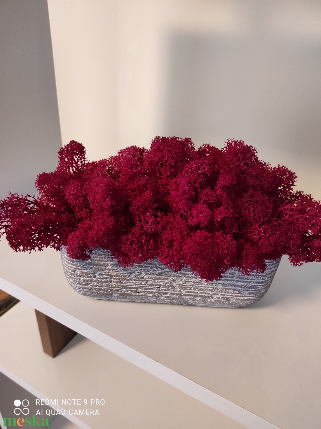 Színes élő izlandi zuzmók beton kaspóban  - otthon & életmód - dekoráció - virágdísz és tartó - csokor & virágdísz - Meska.hu